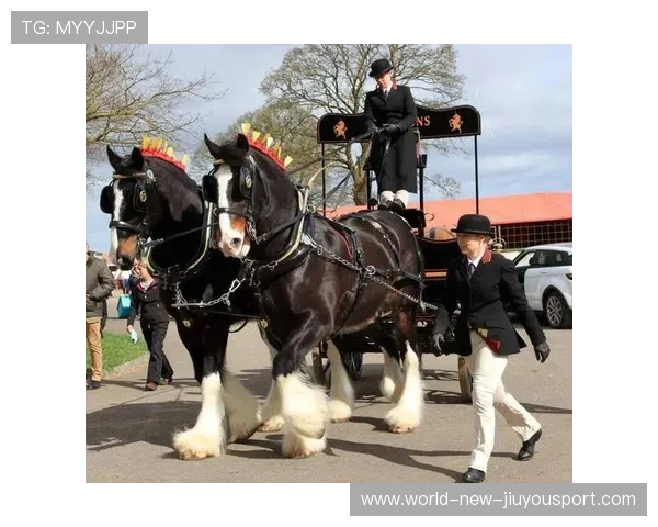 冰球近身肉搏激烈程度堪比硬桥硬马
